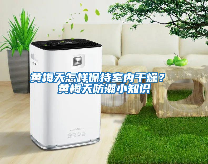 黃梅天怎樣保持室內(nèi)干燥? 黃梅天防潮小知識(shí)