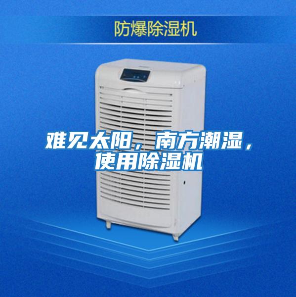 難見太陽，南方潮濕，使用除濕機