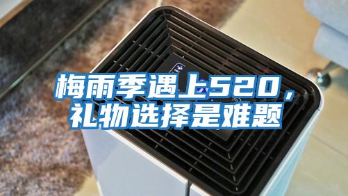 梅雨季遇上520，禮物選擇是難題