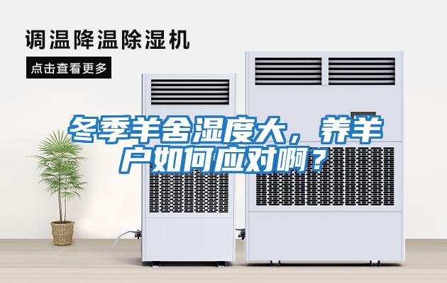 冬季羊舍濕度大，養(yǎng)羊戶如何應(yīng)對啊？