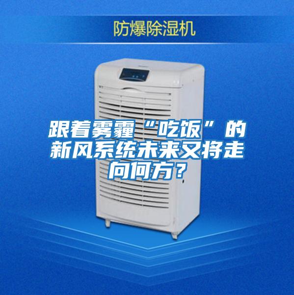 跟著霧霾“吃飯”的新風(fēng)系統(tǒng)未來又將走向何方？
