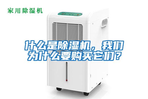 什么是除濕機，我們?yōu)槭裁匆徺I它們？