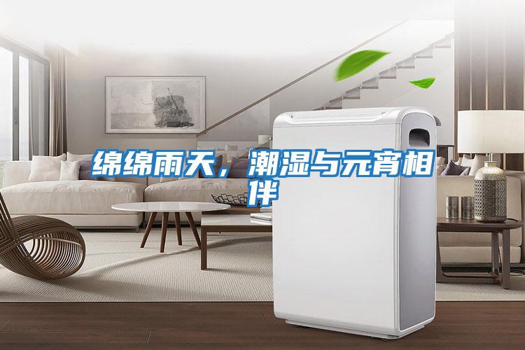 綿綿雨天，潮濕與元宵相伴
