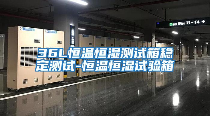 36L恒溫恒濕測試箱穩定測試-恒溫恒濕試驗箱