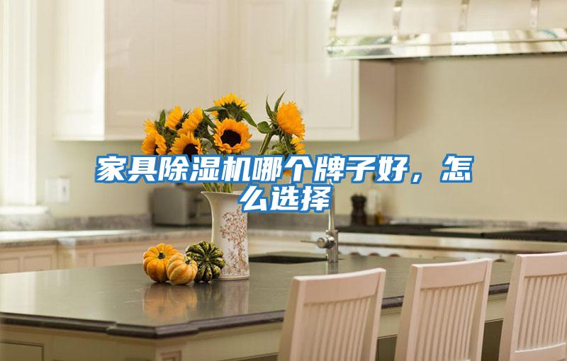 家具除濕機(jī)哪個(gè)牌子好，怎么選擇
