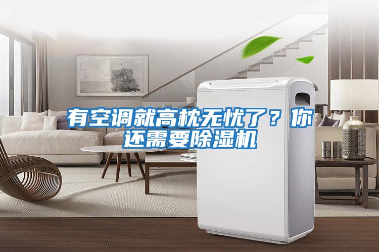 有空調就高枕無憂了？你還需要除濕機
