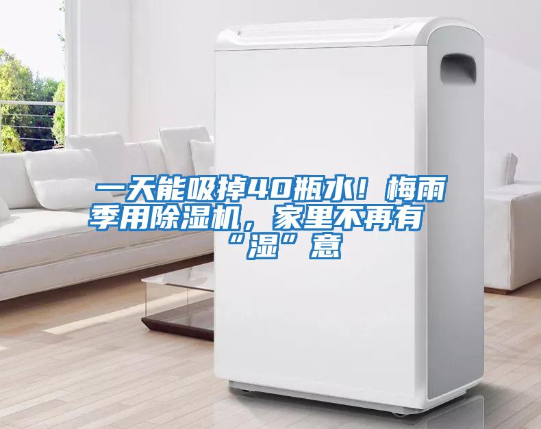 一天能吸掉40瓶水！梅雨季用除濕機，家里不再有“濕”意