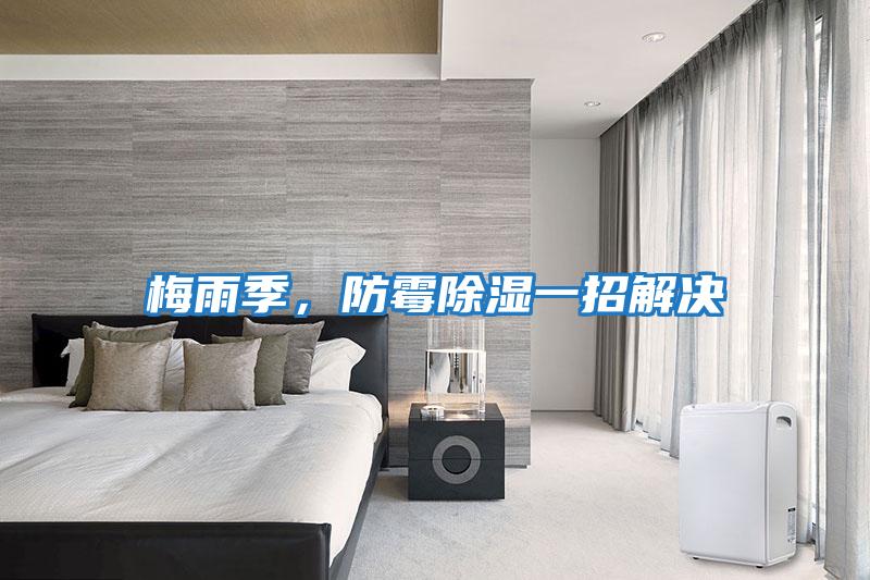 梅雨季，防霉除濕一招解決