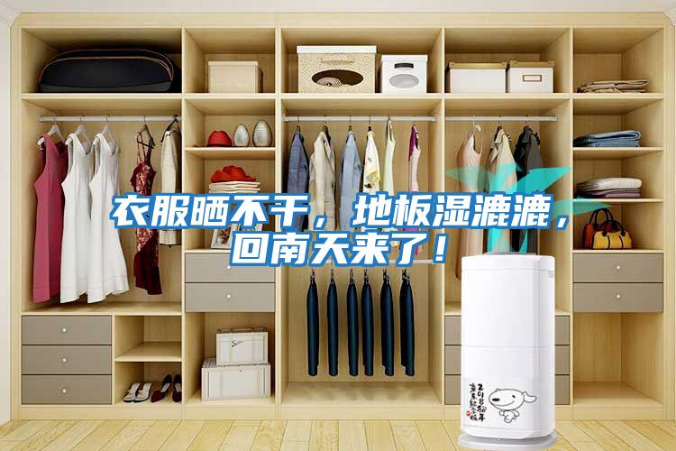 衣服曬不干，地板濕漉漉，回南天來了！