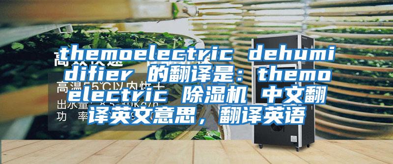 themoelectric dehumidifier 的翻譯是：themoelectric 除濕機(jī) 中文翻譯英文意思，翻譯英語