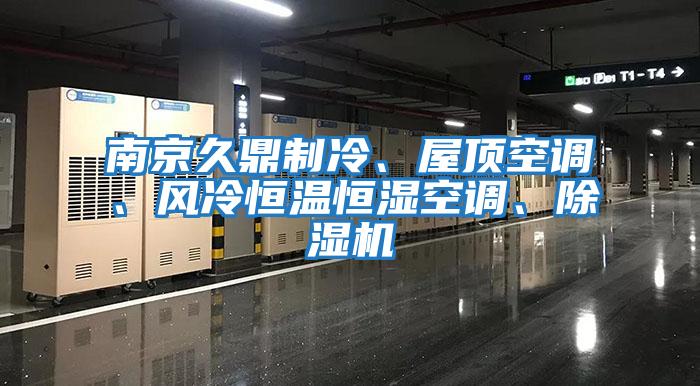 南京久鼎制冷、屋頂空調、風冷恒溫恒濕空調、除濕機