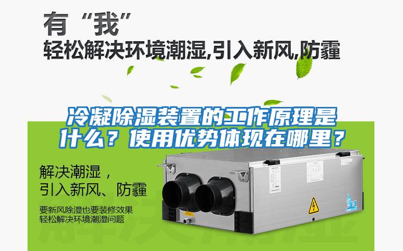 冷凝除濕裝置的工作原理是什么？使用優(yōu)勢體現(xiàn)在哪里？