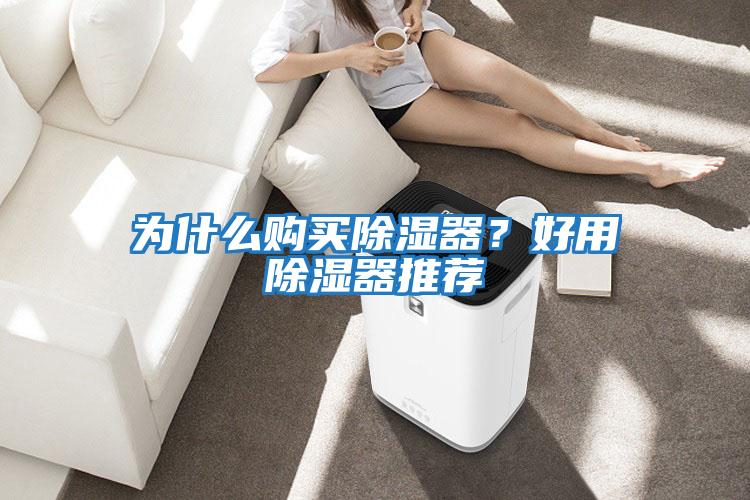 為什么購買除濕器？好用除濕器推薦