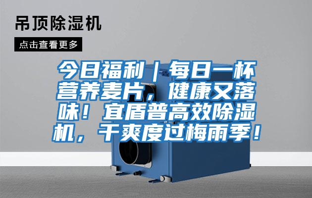 今日福利｜每日一杯營養麥片，健康又落味！宜盾普高效除濕機，干爽度過梅雨季！