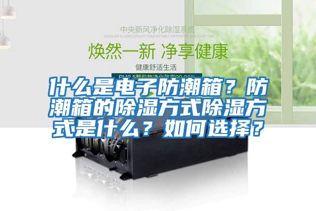 什么是電子防潮箱？防潮箱的除濕方式除濕方式是什么？如何選擇？
