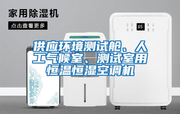 供應(yīng)環(huán)境測試艙、人工氣候室、測試室用恒溫恒濕空調(diào)機
