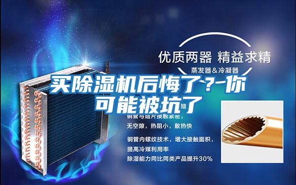 買(mǎi)除濕機(jī)后悔了？你可能被坑了