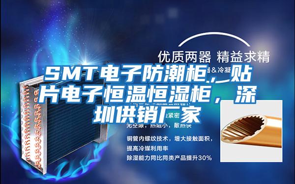 SMT電子防潮柜，貼片電子恒溫恒濕柜，深圳供銷廠家