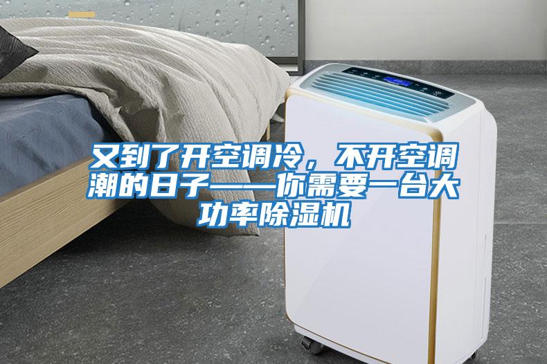 又到了開空調(diào)冷，不開空調(diào)潮的日子——你需要一臺大功率除濕機