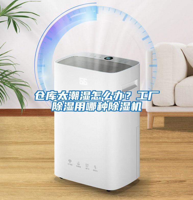 倉庫太潮濕怎么辦？工廠除濕用哪種除濕機