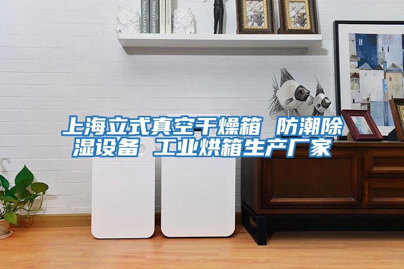 上海立式真空干燥箱 防潮除濕設備 工業烘箱生產廠家