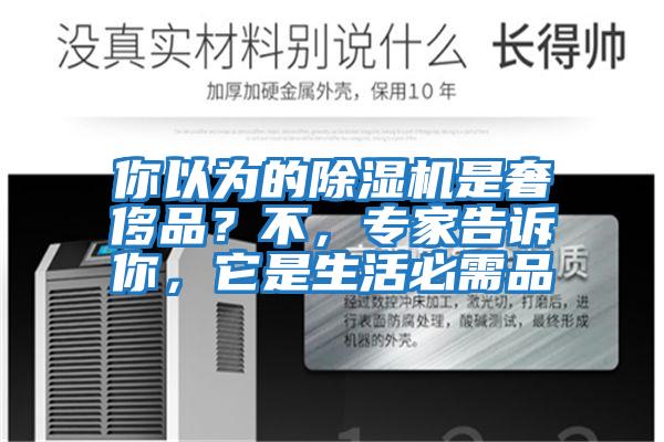 你以為的除濕機是奢侈品？不，專家告訴你，它是生活必需品