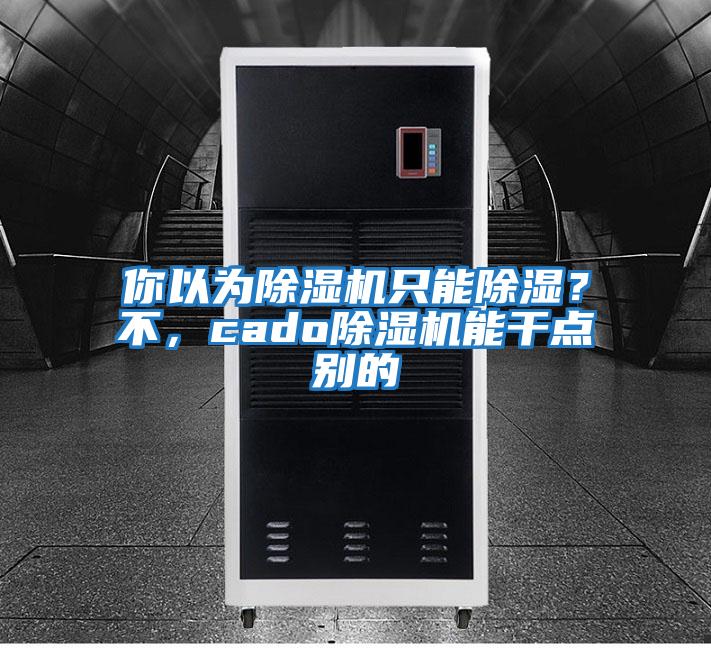 你以為除濕機只能除濕？不，cado除濕機能干點別的