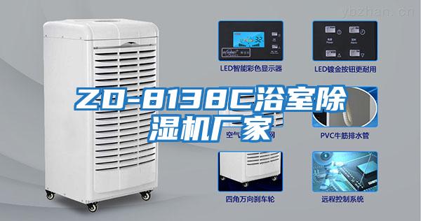 ZD-8138C浴室除濕機(jī)廠(chǎng)家
