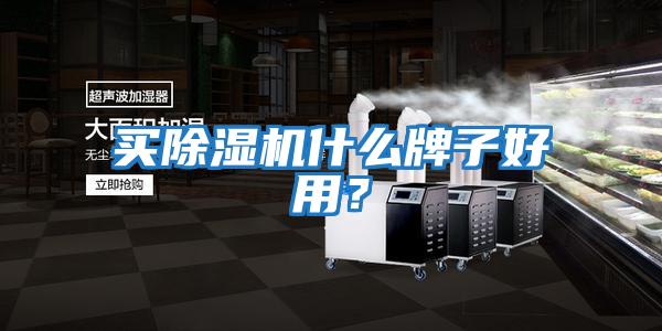 買(mǎi)除濕機(jī)什么牌子好用？