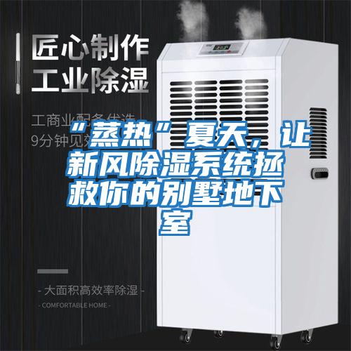 “蒸熱”夏天，讓新風(fēng)除濕系統(tǒng)拯救你的別墅地下室
