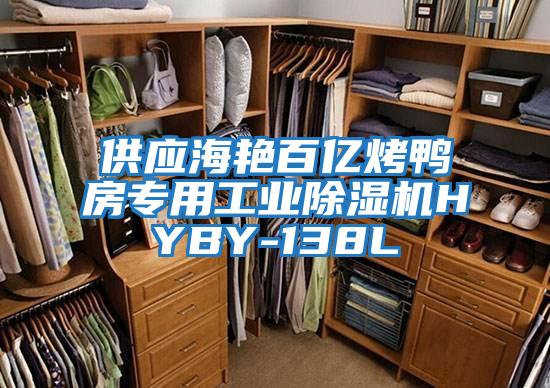 供應海艷百億烤鴨房專用工業除濕機HYBY-138L