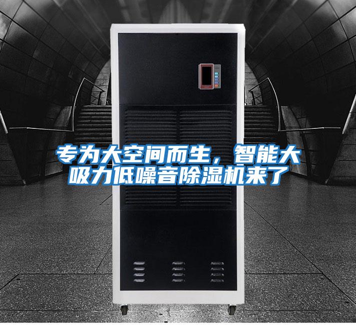 專為大空間而生，智能大吸力低噪音除濕機來了