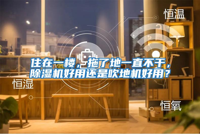 住在一樓，拖了地一直不干，除濕機好用還是吹地機好用？