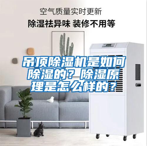 吊頂除濕機(jī)是如何除濕的？除濕原理是怎么樣的？