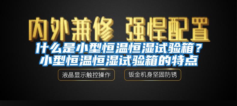 什么是小型恒溫恒濕試驗(yàn)箱？小型恒溫恒濕試驗(yàn)箱的特點(diǎn)