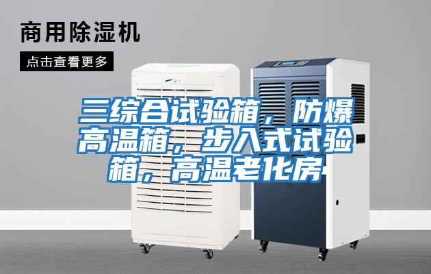 三綜合試驗箱，防爆高溫箱，步入式試驗箱，高溫老化房