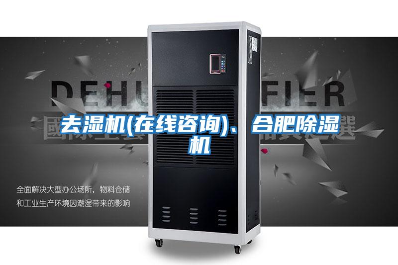 去濕機(jī)(在線咨詢)、合肥除濕機(jī)
