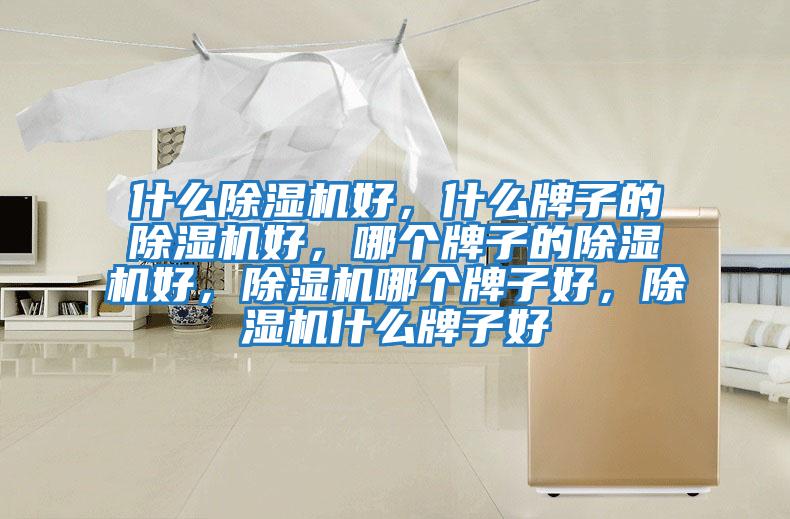 什么除濕機好，什么牌子的除濕機好，哪個牌子的除濕機好，除濕機哪個牌子好，除濕機什么牌子好