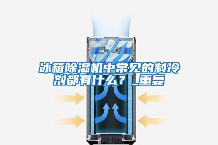 冰箱除濕機(jī)中常見的制冷劑都有什么？_重復(fù)