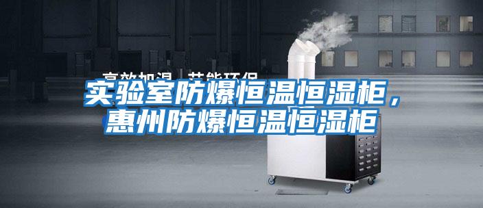 實驗室防爆恒溫恒濕柜，惠州防爆恒溫恒濕柜