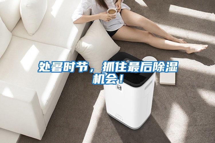 處暑時節(jié)，抓住最后除濕機(jī)會！