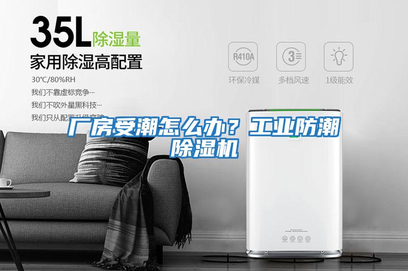 廠房受潮怎么辦？工業防潮除濕機
