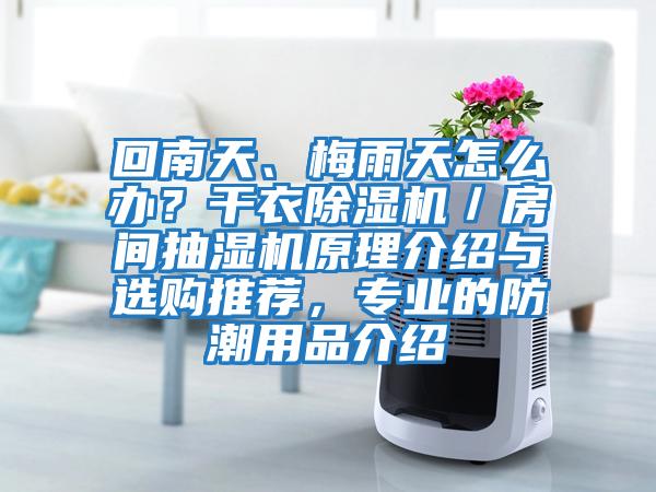 回南天、梅雨天怎么辦？干衣除濕機／房間抽濕機原理介紹與選購推薦，專業的防潮用品介紹