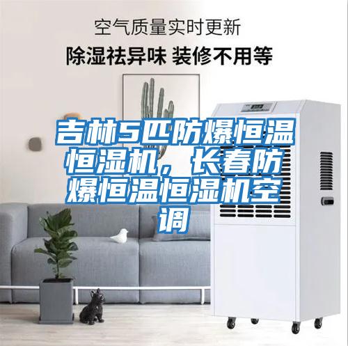 吉林5匹防爆恒溫恒濕機(jī)，長春防爆恒溫恒濕機(jī)空調(diào)