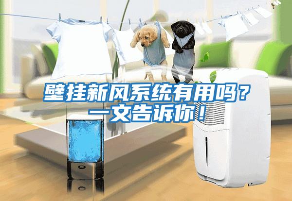 壁掛新風(fēng)系統(tǒng)有用嗎？一文告訴你！