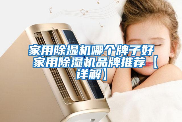 家用除濕機(jī)哪個牌子好 家用除濕機(jī)品牌推薦【詳解】