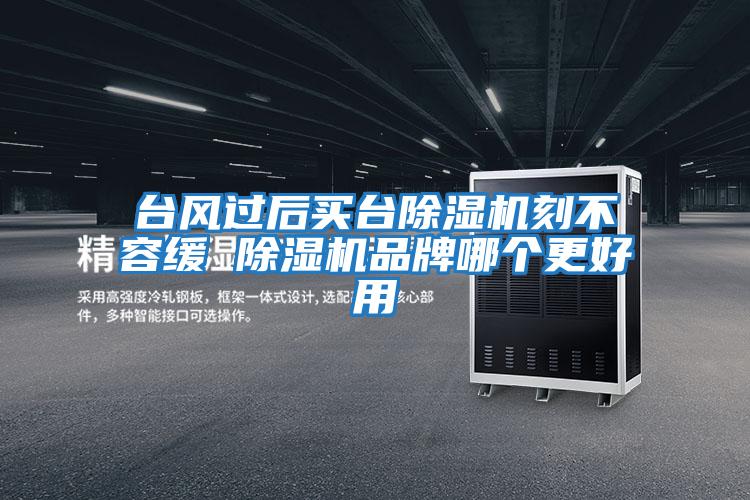 臺風(fēng)過后買臺除濕機(jī)刻不容緩 除濕機(jī)品牌哪個(gè)更好用