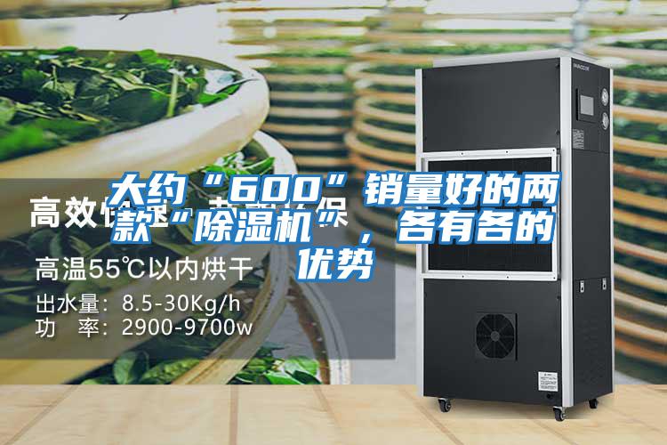 大約“600”銷量好的兩款“除濕機”，各有各的優(yōu)勢
