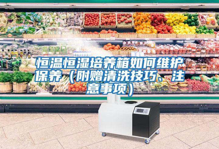 恒溫恒濕培養箱如何維護保養（附贈清洗技巧、注意事項）
