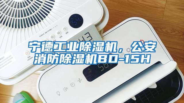 寧德工業(yè)除濕機(jī)，公安消防除濕機(jī)BD-15H